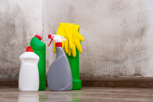 Why You Should Choose Our Mold Remediation Services in Ko Olina, HI